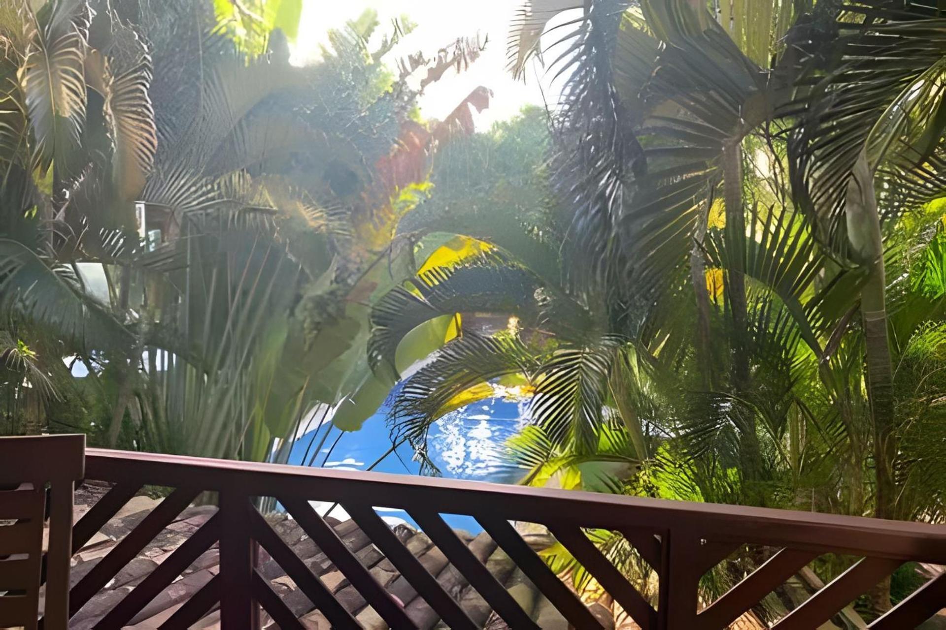 Pipa Beleza - Chales Particulares Praia de Pipa Экстерьер фото